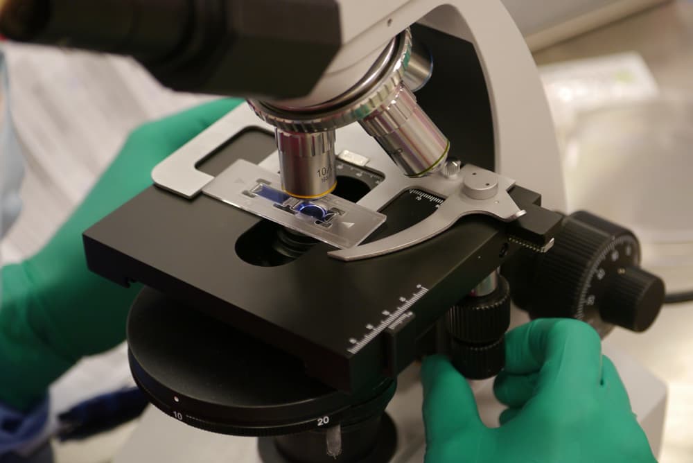 Cartilage cell therapy under study at London Cartilage Clinic